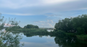 В курганские водоёмы выпустили более 90 млн мальков