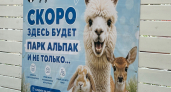 В Кургане ведется обустройство парка альпак