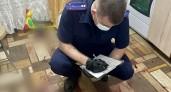 В Кургане задержали мужчину, пытавшегося убить свою 2-летнюю дочь