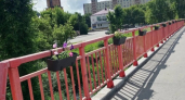 Курганские полицейские задержали подростков, уничтоживших кашпо с цветами на мосту через р. Черная