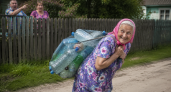 Дачники скупают 5-литровые пластмассовые бутылки на Авито: дома собирают зимний вертикальный сад своими руками