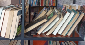 В Кургане представят новую книгу Виктора Потанина «Однажды зимой»