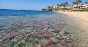 Море +28 °C, коралловые рифы и пустыни как в восточной сказке: теперь знаю, куда полечу в бархатный сезон