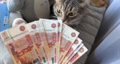 Около 100 курганских студенток получают пособие по беременности и родам в размере 90 тыс. рублей