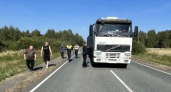 В Половинском округе погиб пьяный пешеход, бросавшийся под колеса автомобилей