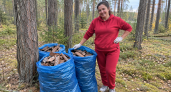 Тащу из леса сосновую кору мешками: соседи смеются, а я использую её по всему дому — 6 лайфхаков для кухни, спальни и прихожей