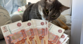 Жительнице Кургана удалось получил более 1 млн рублей за несуществующего ребенка