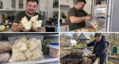 Всю зиму морожу капустные кочерыжки: на выходе сплошная польза — для дачи настоящее сокровище