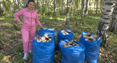 Несу домой из рощи по 5 мешков берёзовой коры: соседи крутят пальцем у виска, упуская вагон пользы — 5 лайфхаков для дома