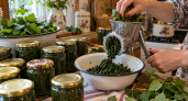 Листья смородины больше не жгу: рву, кручу в мясорубке — в холода спасает лучше меда