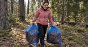 Тащу домой из леса кедровую кору мешками: соседи закатывают глаза, а я не нарадуюсь её пользе — 5 лайфхаков