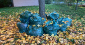 В Кургане с 25 сентября стартует месячник санитарной очистки города