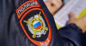78-летний житель Шадринского округа попался с тушами косуль в багажнике