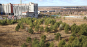 В 12-м микрорайоне Заозерном площадь нового парка составит 2,5 гектара