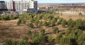 В Кургане в 12-м микрорайоне Заозерного обустроят новый парк площадью 2,5 гектара