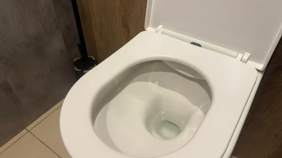 Ходить в туалет на унитаз больше не в моде: новый туалетный тренд скоро дойдет и до России