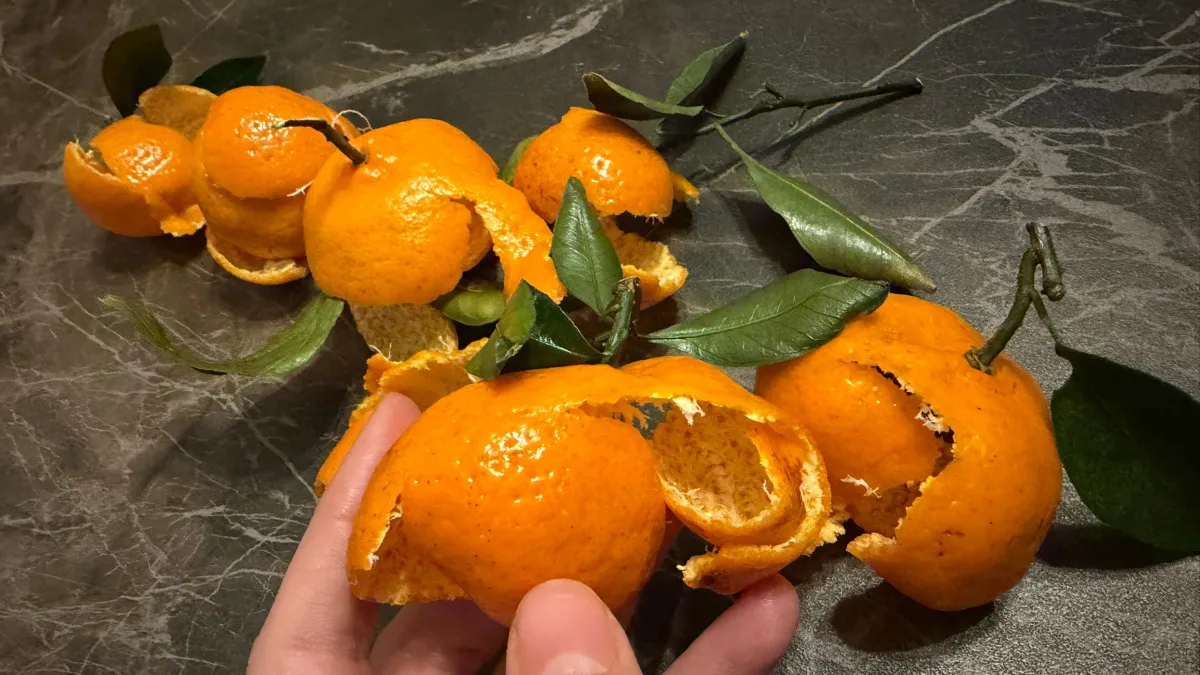 Мандариновые корки против паутинных клещей: запоминайте простой лайфхак