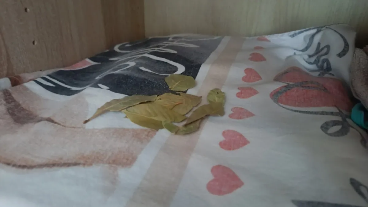 Положите лавровый лист в шкаф с постельным бельем: хитрый трюк, который выручает