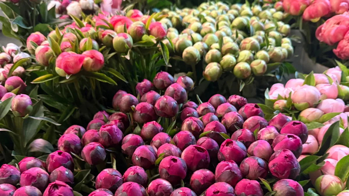 Цветочные базары откроются перед 8 Марта в Кургане: где можно купить букет?