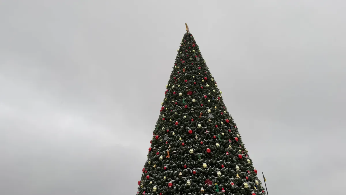 Считанные дни остались до разбора главной ёлки на площади в Кургане