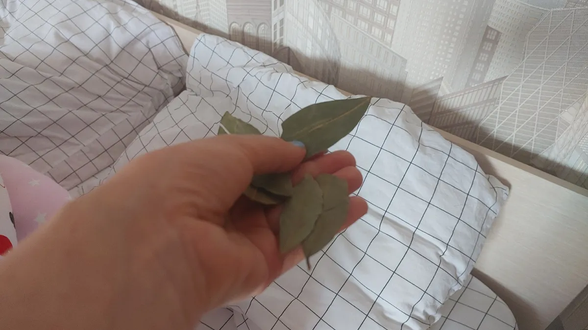 Спрятала лавровый лист в спальне и удивилась результату: старый бабшукин метод, о котором все забыли