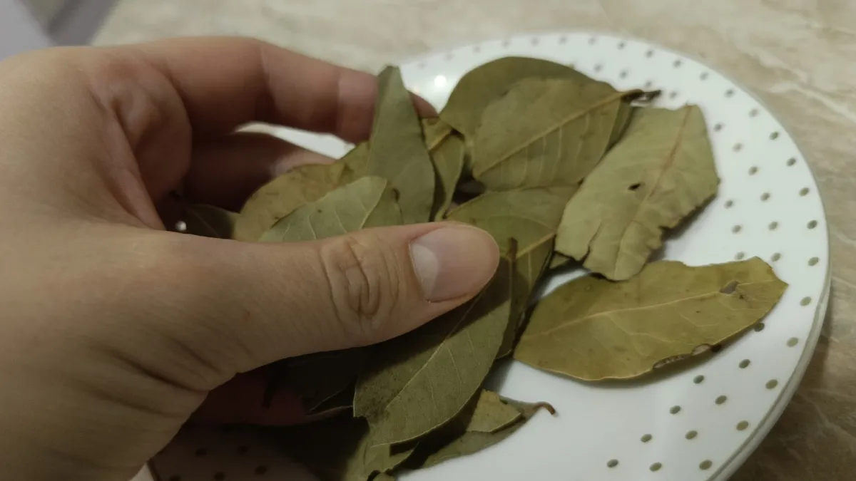 Вырастила настоящую шевелюру: нужна только пачка лаврушки - делюсь личными методами ухода за волосами