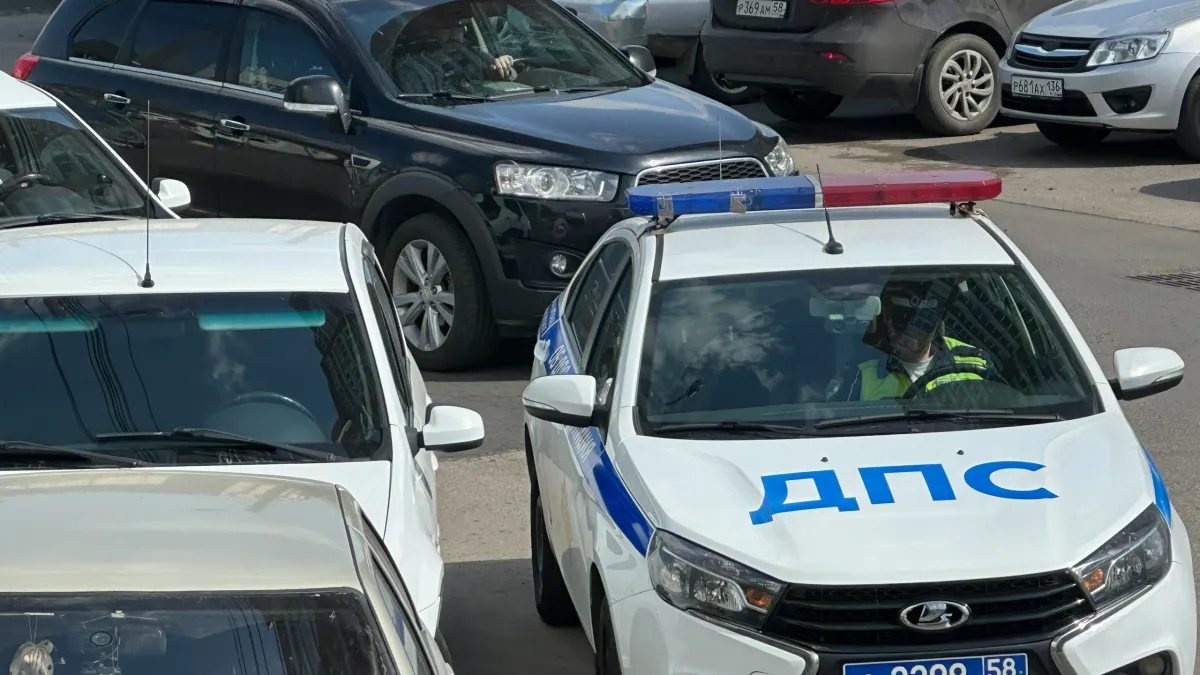 На трассе под Шадринском из-за косули столкнулись две «Лады»