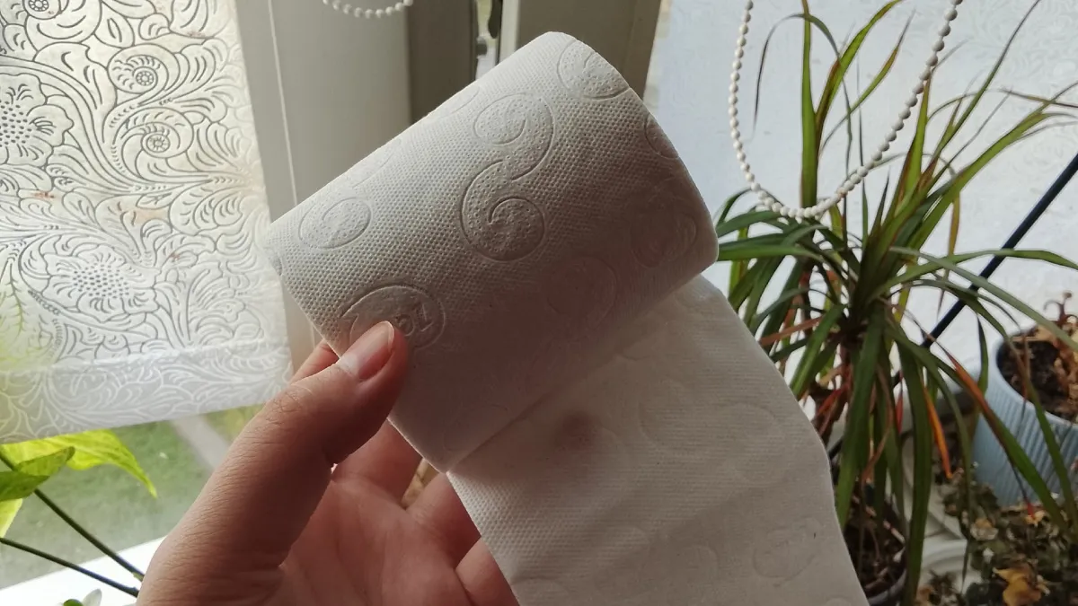 Беру обычный рулон туалетной бумаги — и из щелей подоконника не дует даже в мороз - дома тепло, как  на Бали