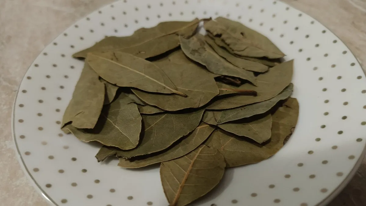 Коренная Крымчанка показала 5 хитростей с лаврушкой: попробовала и влюбилась - у нас так никто не делает