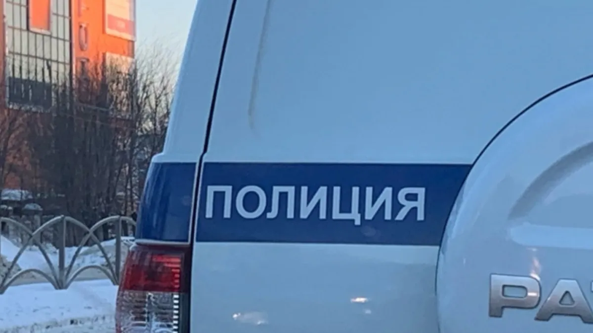 Курганец вырастил на участке коноплю ради производства марихуаны