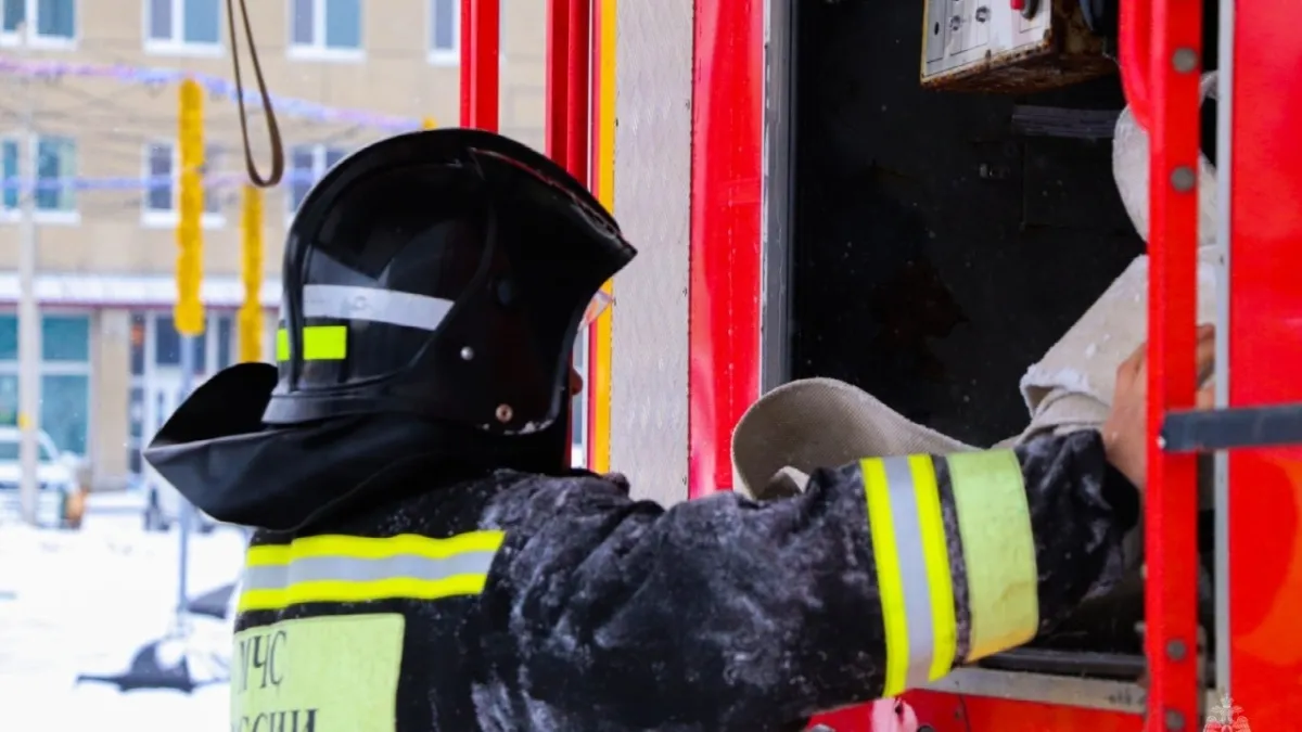 На тушении лесных пожаров в Курганской области выделили более 200 млн рублей