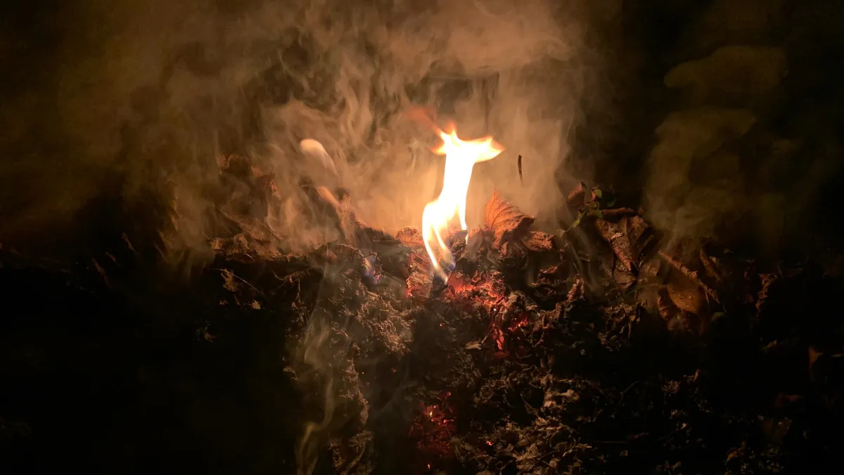 "Звериная жестокость": житель Курганской области чуть заживо не спалил свою сожительницу