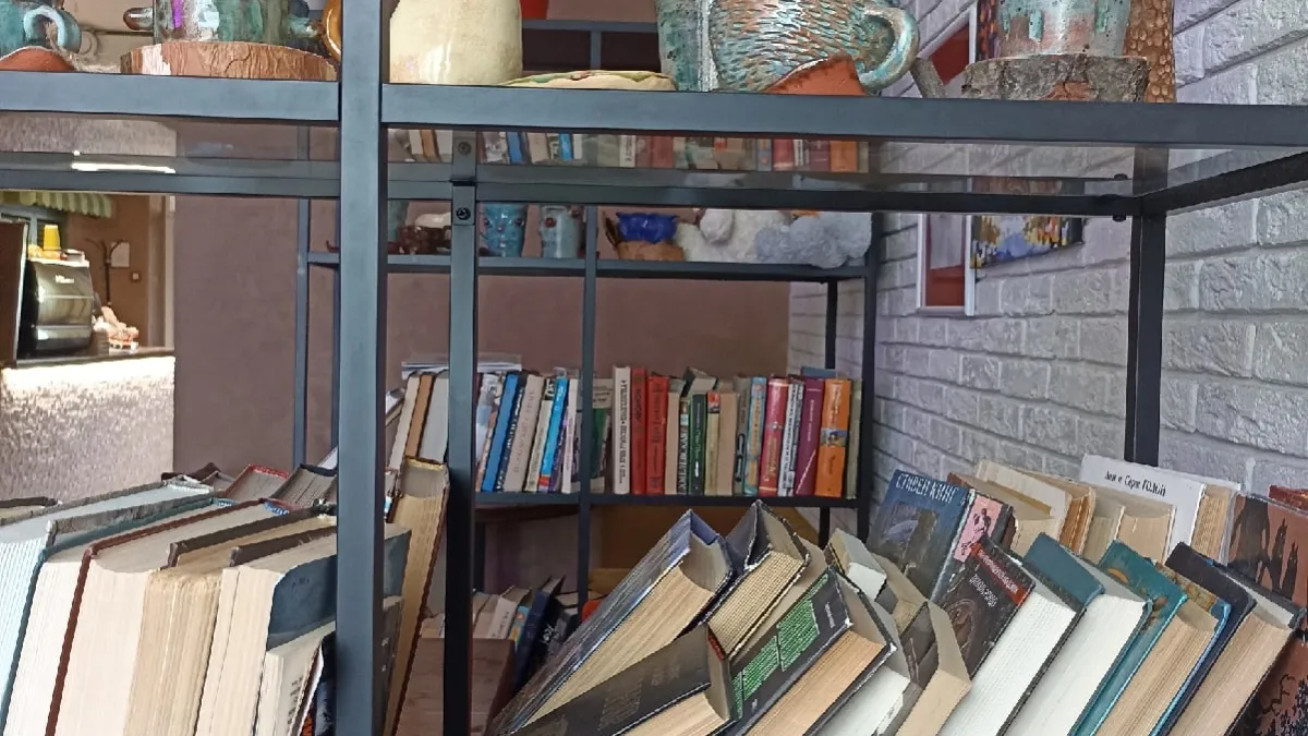 В Курганской библиотеке бесплатно покажут аниме «Навсикая из Долины ветров»