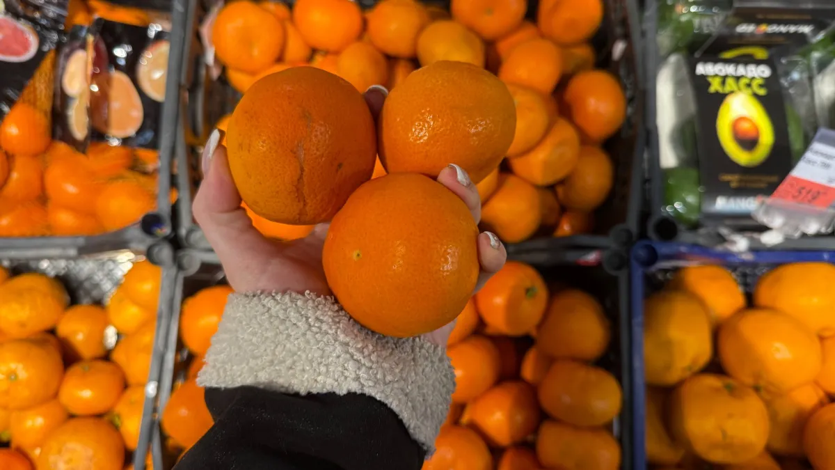 В магазины завезли странные мандарины Халабон: на вид уродливые, под кожурой воздух - на что похож по вкусу