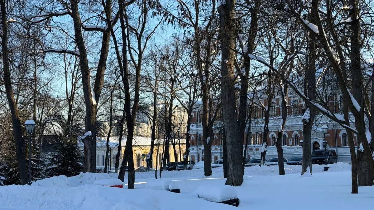 У курганского департамента экономики появился новый глава