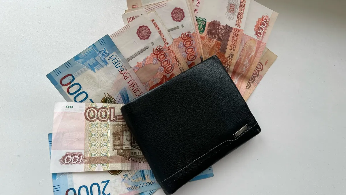 Средняя зарплата жителей Курганской области достигла 73 тысяч рублей: кто зарабатывает больше остальных?