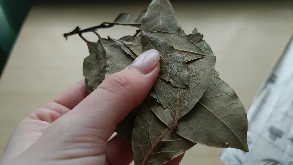Перед сном всегда поджигаю лавровый лист: хитрость наших бабушек снова в моде