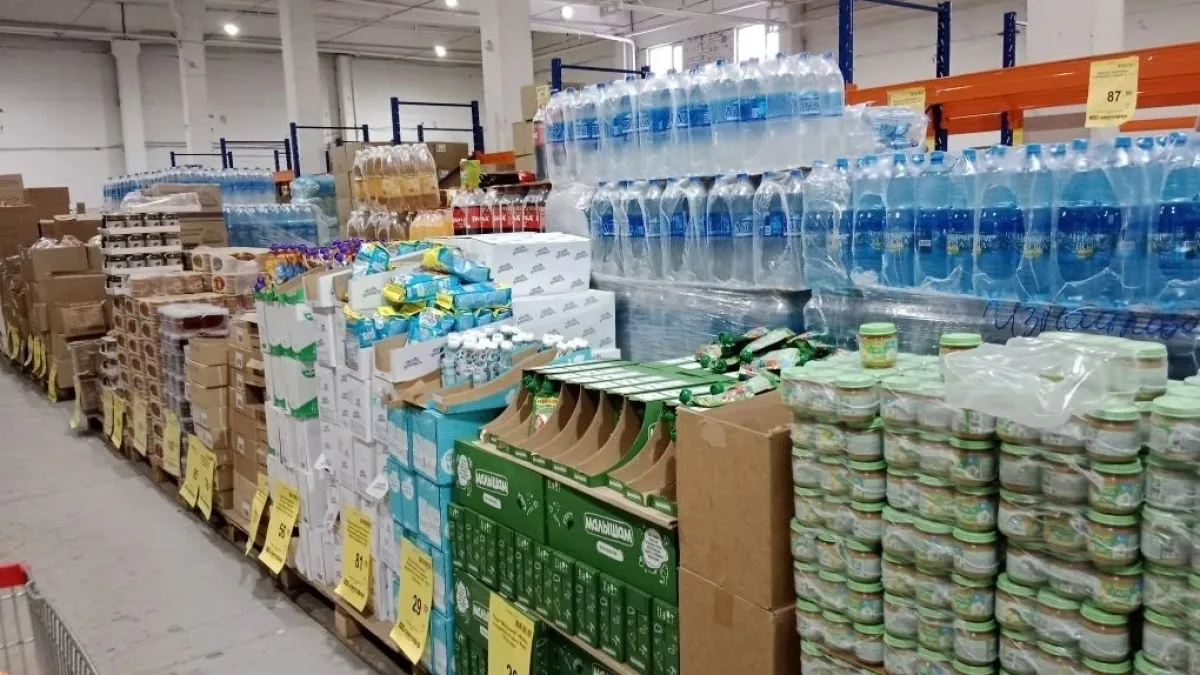 Заехали в Светофор за одним, а вышли с двумя пакетами: что взяли для дома и дачи всего на 2500