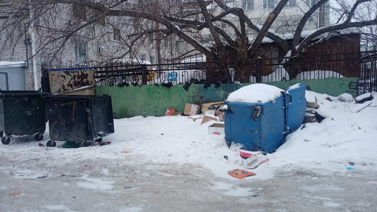 "Живём будто на мусорном полигоне!": жители улицы Советской в Кургане пожаловались на ужасное качество вывоза мусора