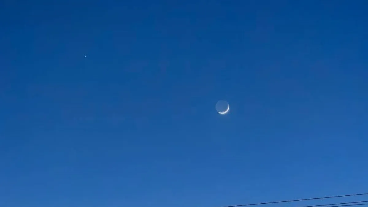 Весеннее чудо: «Розовая Луна» озарит небо Курганской области