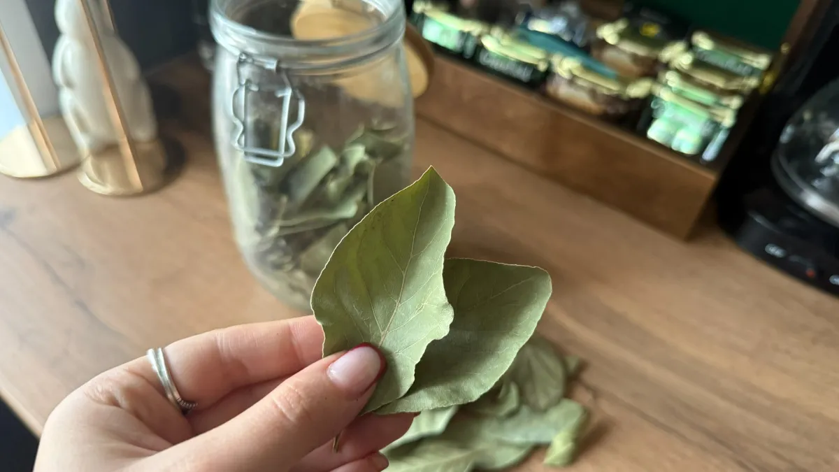 Сначала заливаю лаврушку горячей водой, потом подкармливаю рассаду - маленькая, но важная хитрость