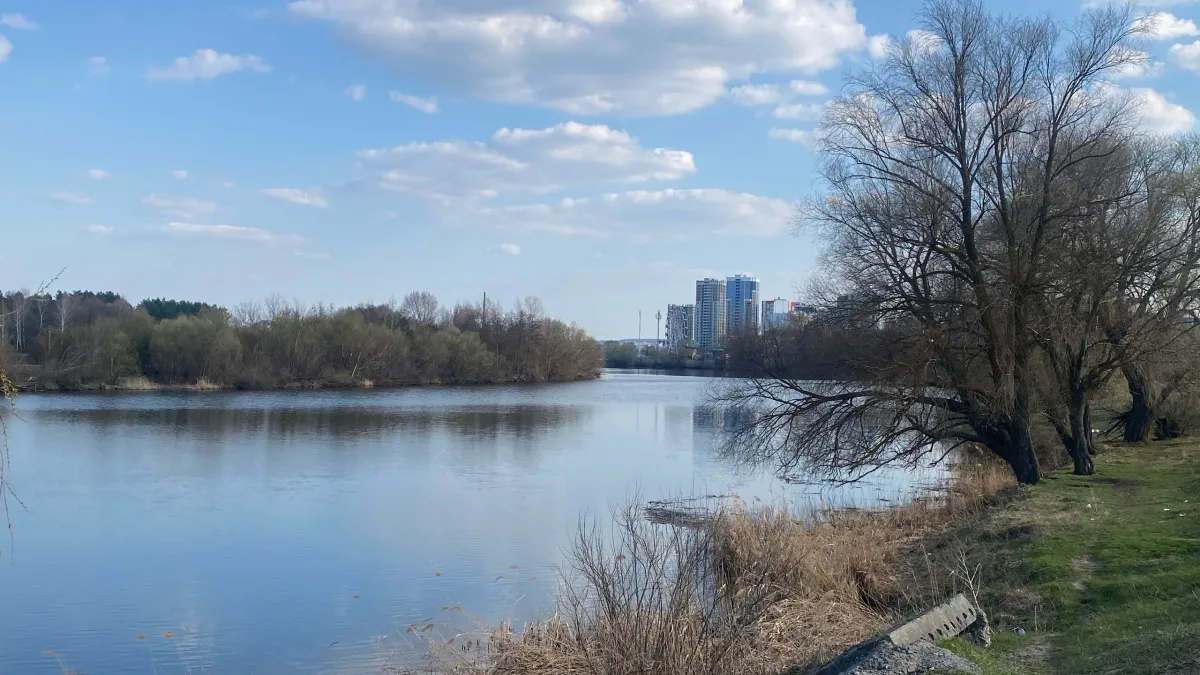 Курганские экологи нашли цветок, которого нигде в России больше не увидишь