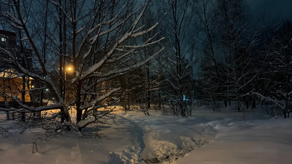 Курганские атлеты подняли символ своей школы на вершину горы Приэльбрусья