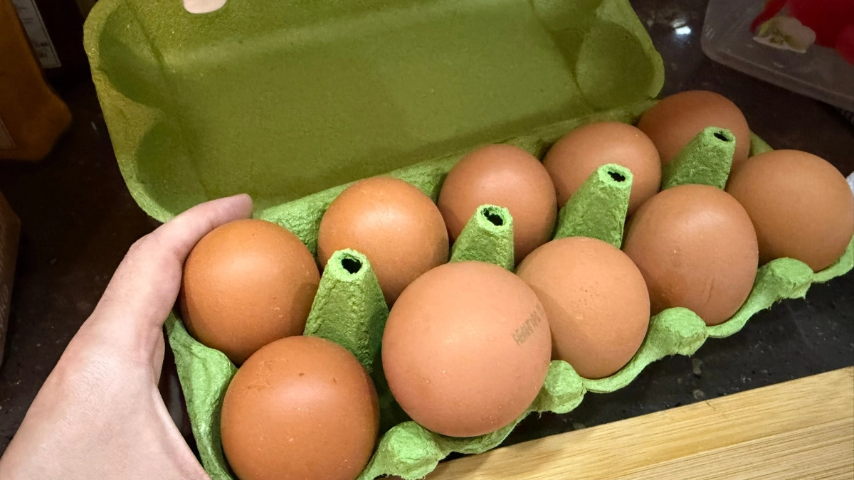 Эти 9 марок куриных яиц с антибиотиками и треснувшей скорлупой - список Росконтроля - не берите на Пасху