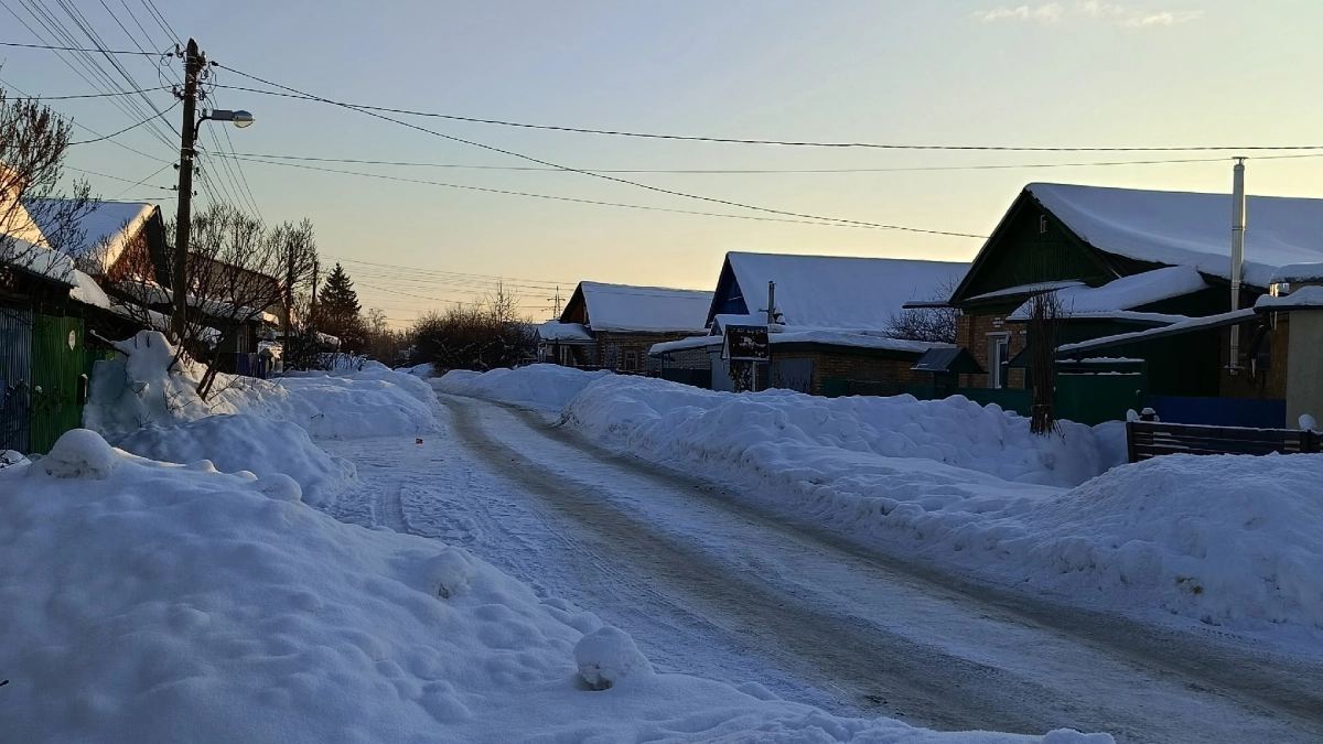 В селе Курганской области жители несколько месяцев живут без воды