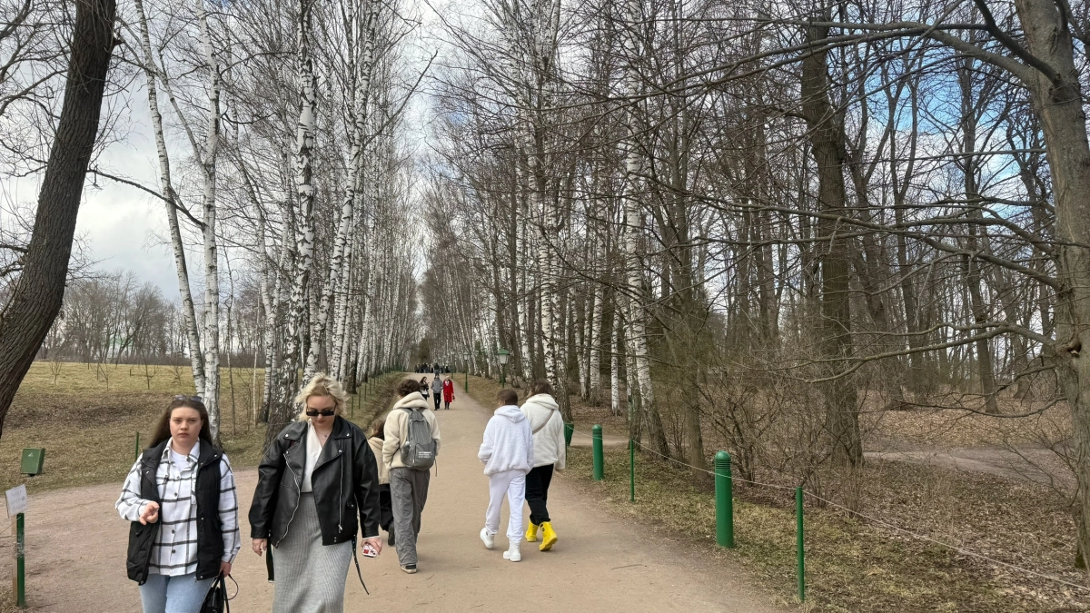 Из-за увеличения светового дня у курганцев может начаться «социальный джетлаг»