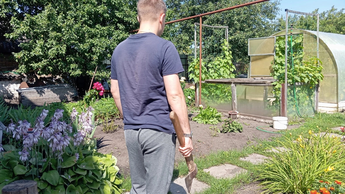 Откажусь в 2026 году от этих 7 работ в саду: приберегу время и силы для важных дел