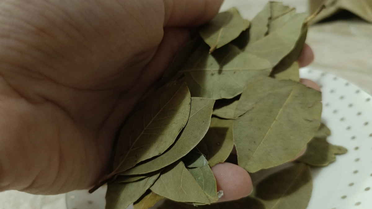 Знакомые жгут лавровый лист дома: когда узнала зачем - смеяться перестала