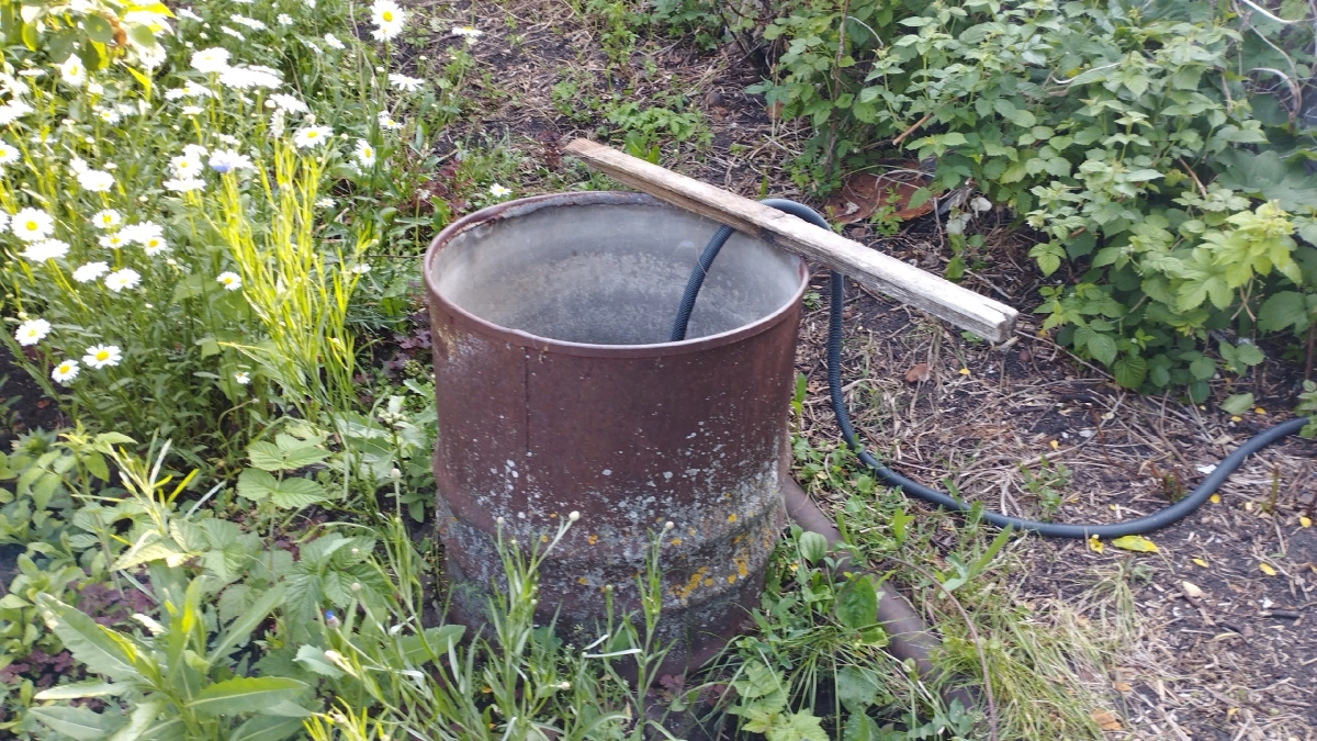 Зачем деревенские ставят в теплицы бочку с водой: узнал, и теперь тоже так делаю - 5 причин