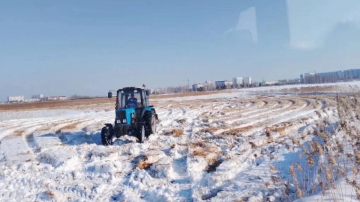 Более 115 гектаров камыша скошено в Кургане в рамках профилактики пожаров